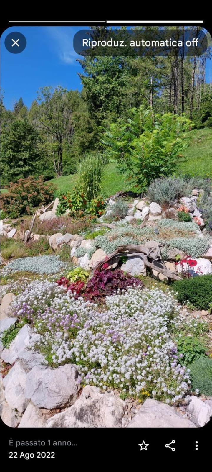 Reggia Al Sole Leilighet Pieve di Cadore Eksteriør bilde
