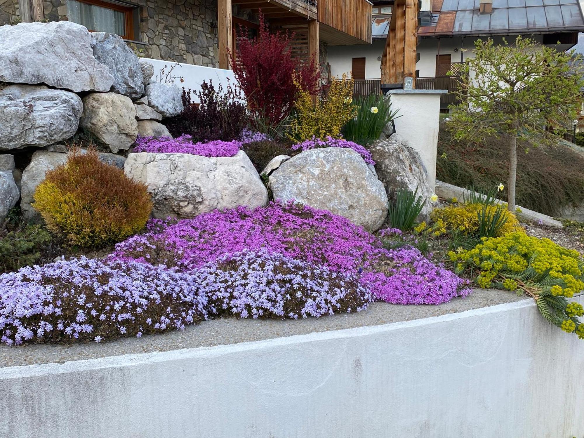 Reggia Al Sole Leilighet Pieve di Cadore Eksteriør bilde